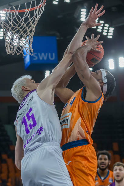 竟然是一只 竟然是一只